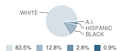 Davidson River School Student Race Distribution