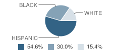 Benton Heights Elementary School Student Race Distribution