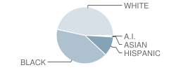 Forest Hills High School Student Race Distribution