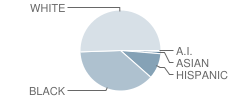 Marshville Elementary School Student Race Distribution