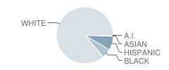 Unionville Elementary School Student Race Distribution