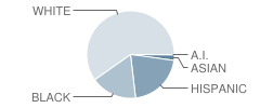 Brooks Elementary School Student Race Distribution