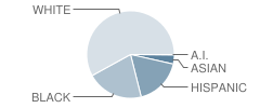 Cary Elementary School Student Race Distribution