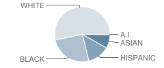 Combs Elementary School Student Race Distribution