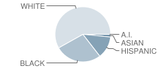 Fuquay-Varina Elementary School Student Race Distribution