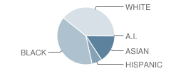 Ligon Middle School Student Race Distribution