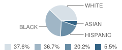 Stough Elementary School Student Race Distribution