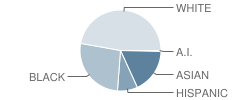 West Cary Middle School Student Race Distribution