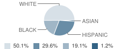 Baileywick Road Elementary School Student Race Distribution