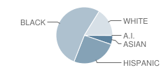 Fox Road Elementary School Student Race Distribution