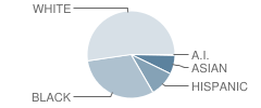 Leesville Road Middle School Student Race Distribution