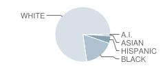 Rosewood High School Student Race Distribution