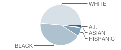 Central Middle School Student Race Distribution