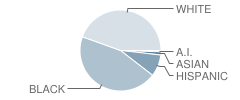 James Hunt High School Student Race Distribution