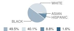 Vinson-Bynum Elementary School Student Race Distribution