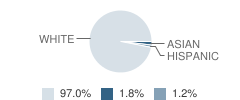 Steele-Dawson High School Student Race Distribution