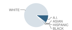 Wachter Middle School Student Race Distribution