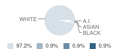Hazen High School Student Race Distribution