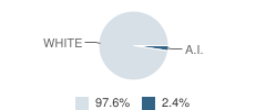 Mott High School Student Race Distribution