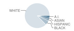 South High School Student Race Distribution