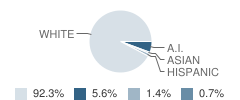 Hankinson High School Student Race Distribution