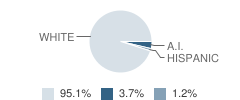 Hebron High School Student Race Distribution