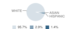 Kenmare High School Student Race Distribution