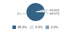 Mandaree High School Student Race Distribution