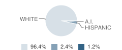 Max High School Student Race Distribution