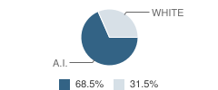 Parshall High School Student Race Distribution