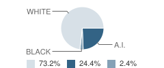 Rolette High School Student Race Distribution