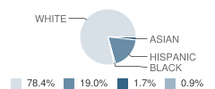 Lakeview Junior High School Student Race Distribution