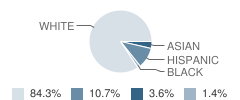 Johnson County Central High School Student Race Distribution