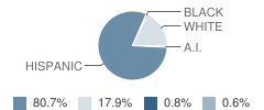 Schuyler Middle School Student Race Distribution