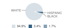 Prague High School Student Race Distribution