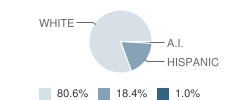 Banner County High School Student Race Distribution