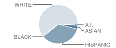 Crete High School Student Race Distribution