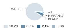 Fillmore Central High School Student Race Distribution