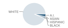 Elwood High School Student Race Distribution