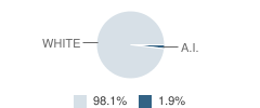 Keya Paha County High School Student Race Distribution