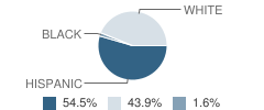 Madison High School Student Race Distribution