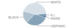 Belle Ryan Elementary School Student Race Distribution