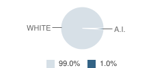 Osceola High School Student Race Distribution