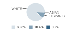 Shelby High School Student Race Distribution