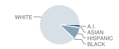 Sidney High School Student Race Distribution