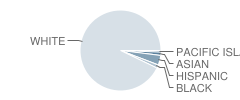 Ashland Elementary School Student Race Distribution