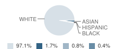 Bluff School Student Race Distribution