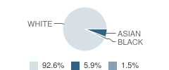 Dublin Consolidated School Student Race Distribution