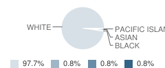 Hinsdale Jr High School Student Race Distribution