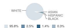 Jaffrey Grade School Student Race Distribution